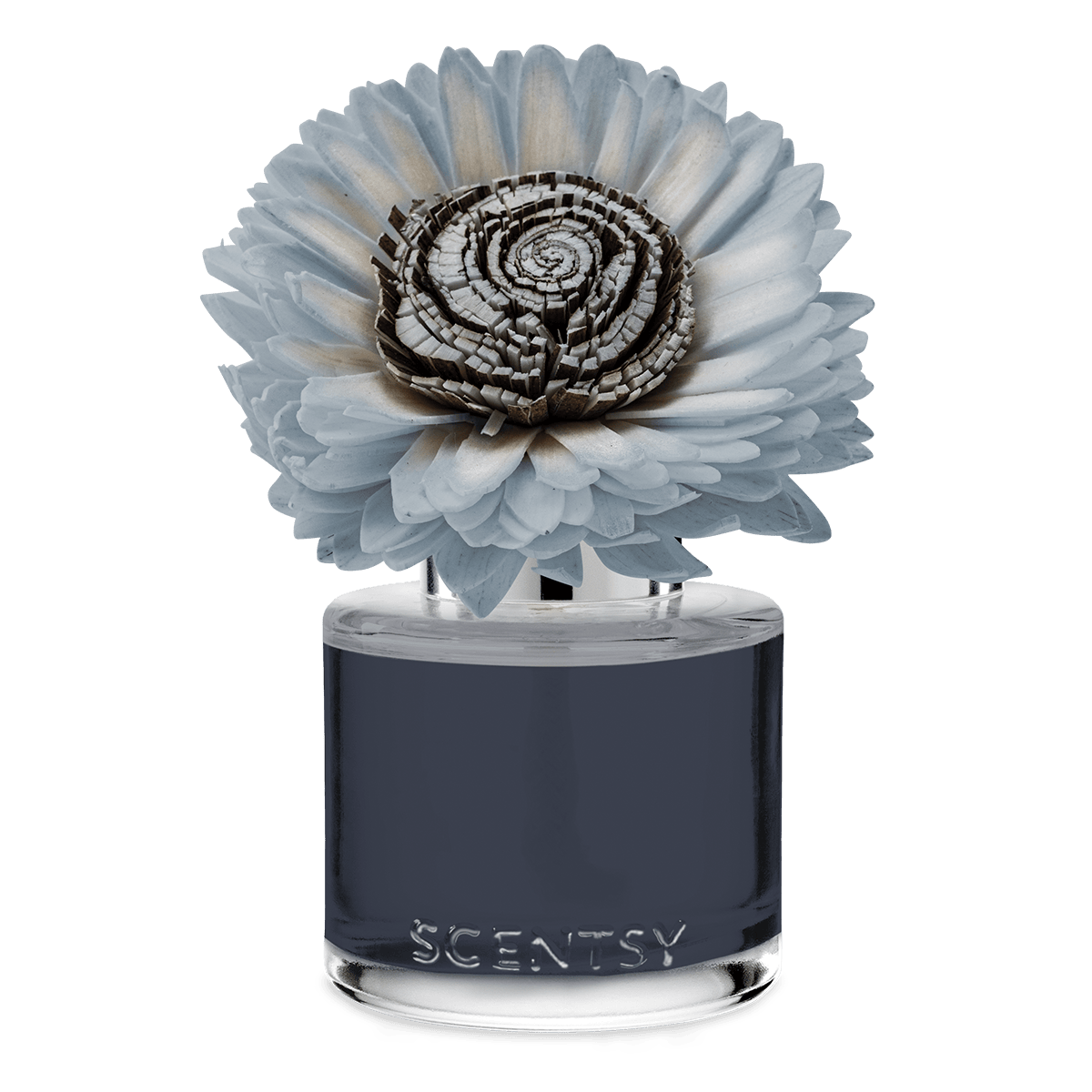 Quaint Country Rain – Stunning Sunflower Fragrance Flower