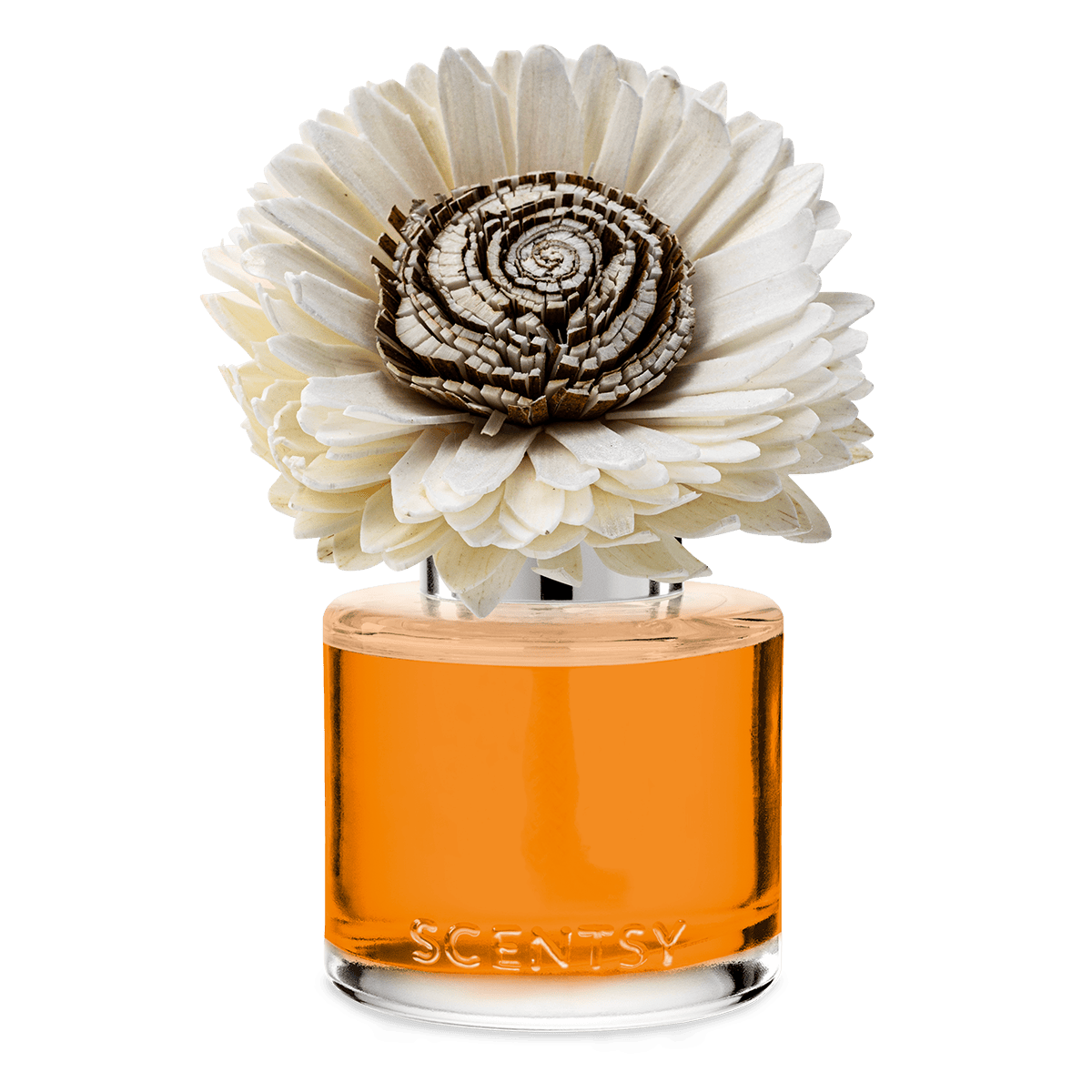 Spiced Pecan Crème – Stunning Sunflower Fragrance Flower - Image 2
