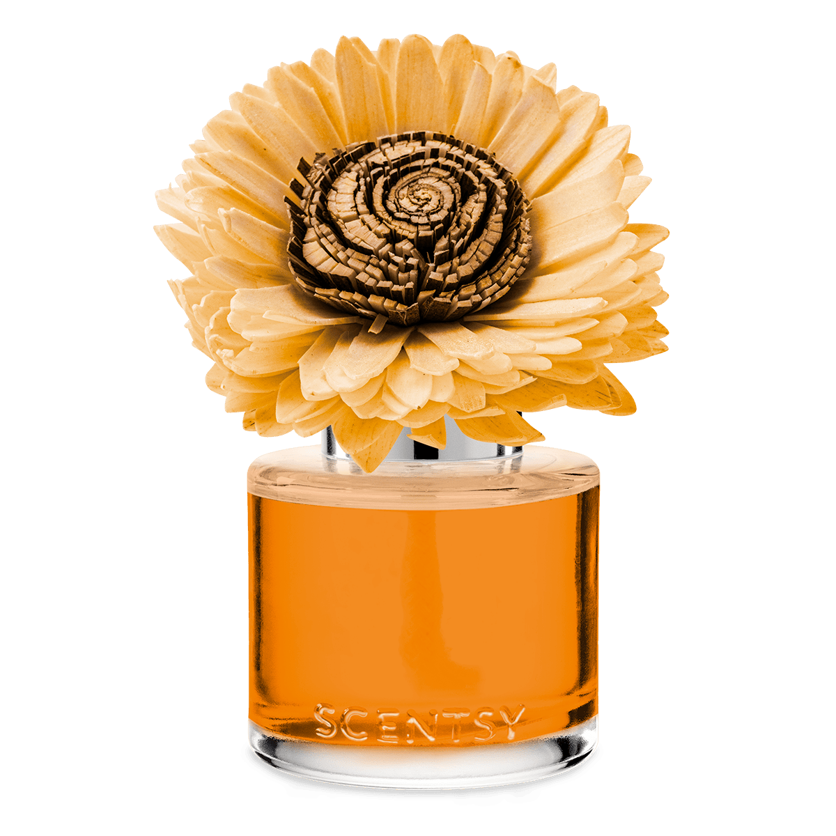 Spiced Pecan Crème – Stunning Sunflower Fragrance Flower