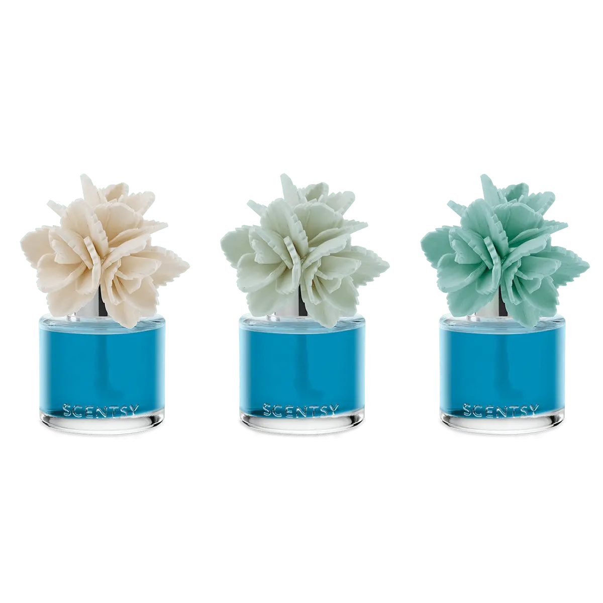 Wildflowers & Sage – Elegant Echeveria Fragrance Flower - Image 3