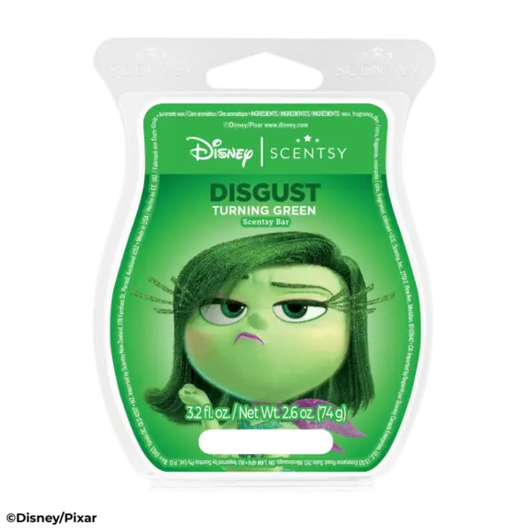 Emotional Whirlwind – Scentsy Wax Collection - Image 8