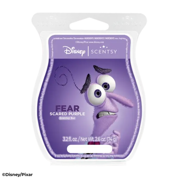 Emotional Whirlwind – Scentsy Wax Collection - Image 7