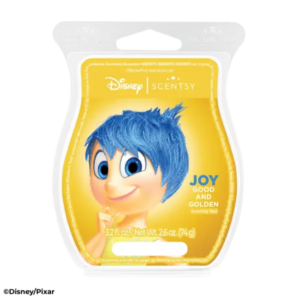 Emotional Whirlwind – Scentsy Wax Collection - Image 5