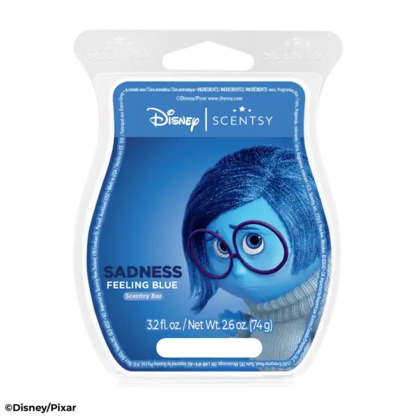Emotional Whirlwind – Scentsy Wax Collection - Image 6