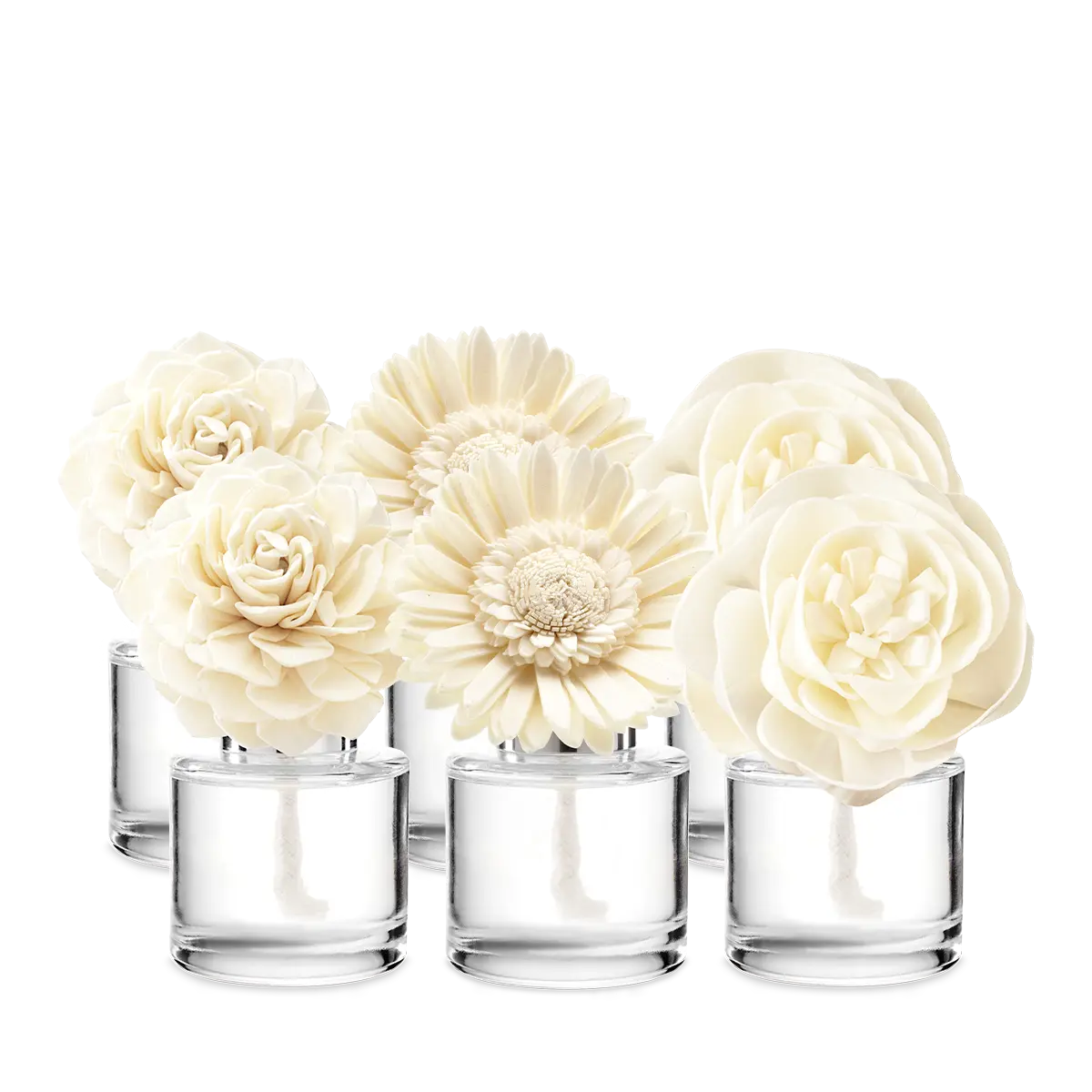 Last Chance 6-Fragrance Flower Bundle