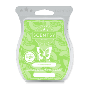 Mad For Melon Scentsy Bar