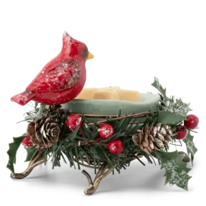 Nestled in Evergreen Warmer
