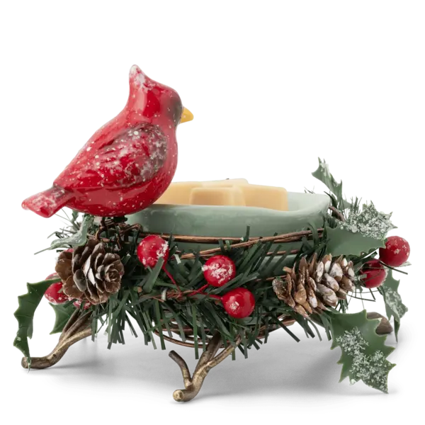 Nestled in Evergreen Warmer