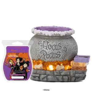 Disney Hocus Pocus Bundle