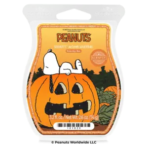Snoopy’s™ Autumn Adventure – Scentsy Bar