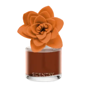 Caramel Macadamia Nut – Natural Poinsettia Fragrance Flower