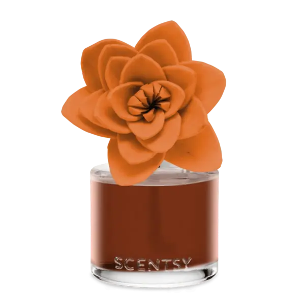 Caramel Macadamia Nut – Natural Poinsettia Fragrance Flower
