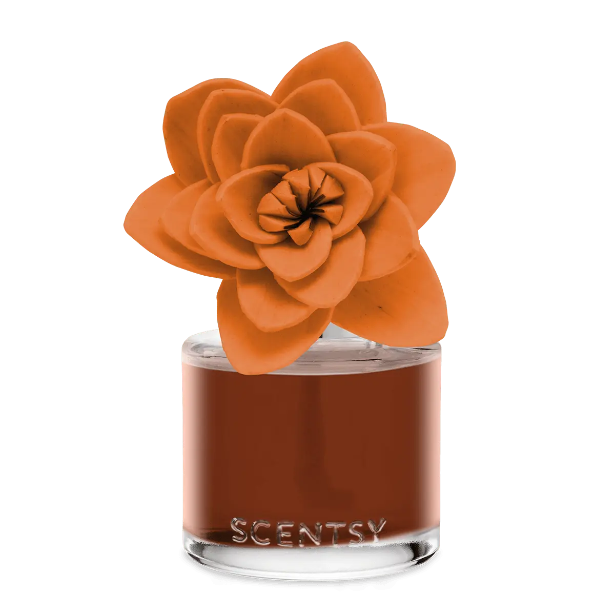 Caramel Macadamia Nut – Natural Poinsettia Fragrance Flower
