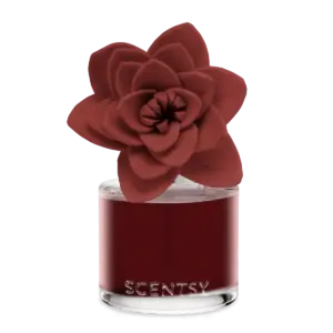 Festive Fruit Punch – Natural Poinsettia Fragrance Flower