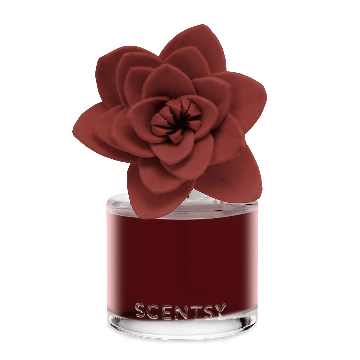 Festive Fruit Punch – Natural Poinsettia Fragrance Flower