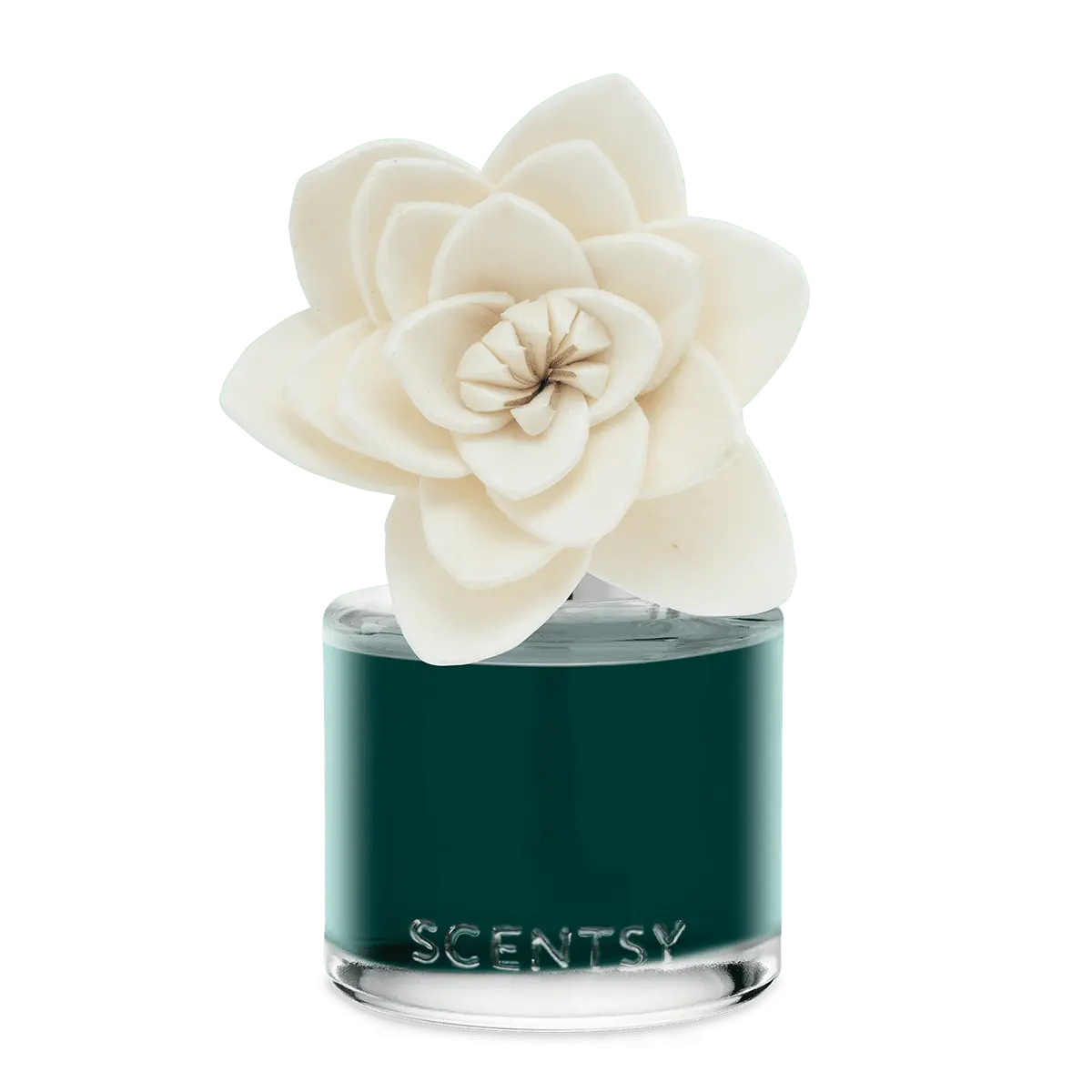 Jingle Bell Blooms – Natural Poinsettia Fragrance Flower - Image 2