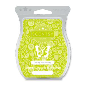 Spring Has Sprung Scentsy Bar