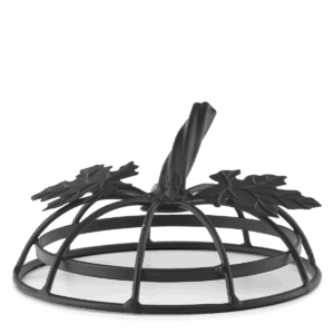 Gleaming Grin replacement lid