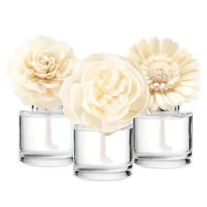 In My Blooming Era 3-Fragrance Flower Bundle