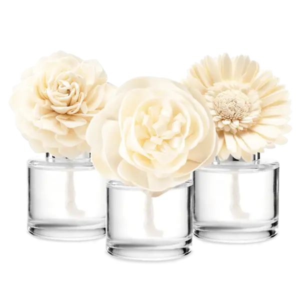 In My Blooming Era 3-Fragrance Flower Bundle
