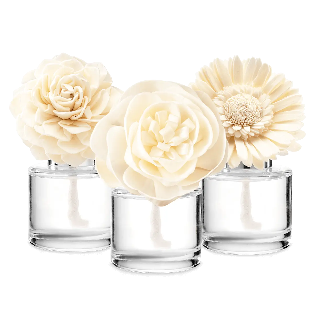 In My Blooming Era 3-Fragrance Flower Bundle