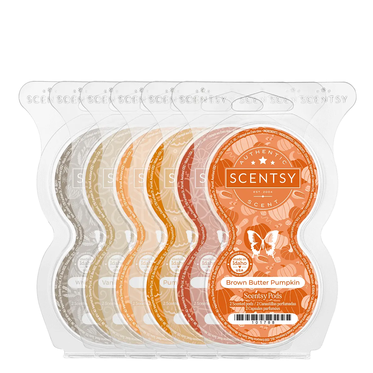 Squash Goals 6-Pod Bundle