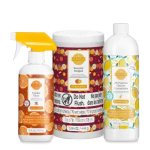 Clean House Holiday Prep Kit