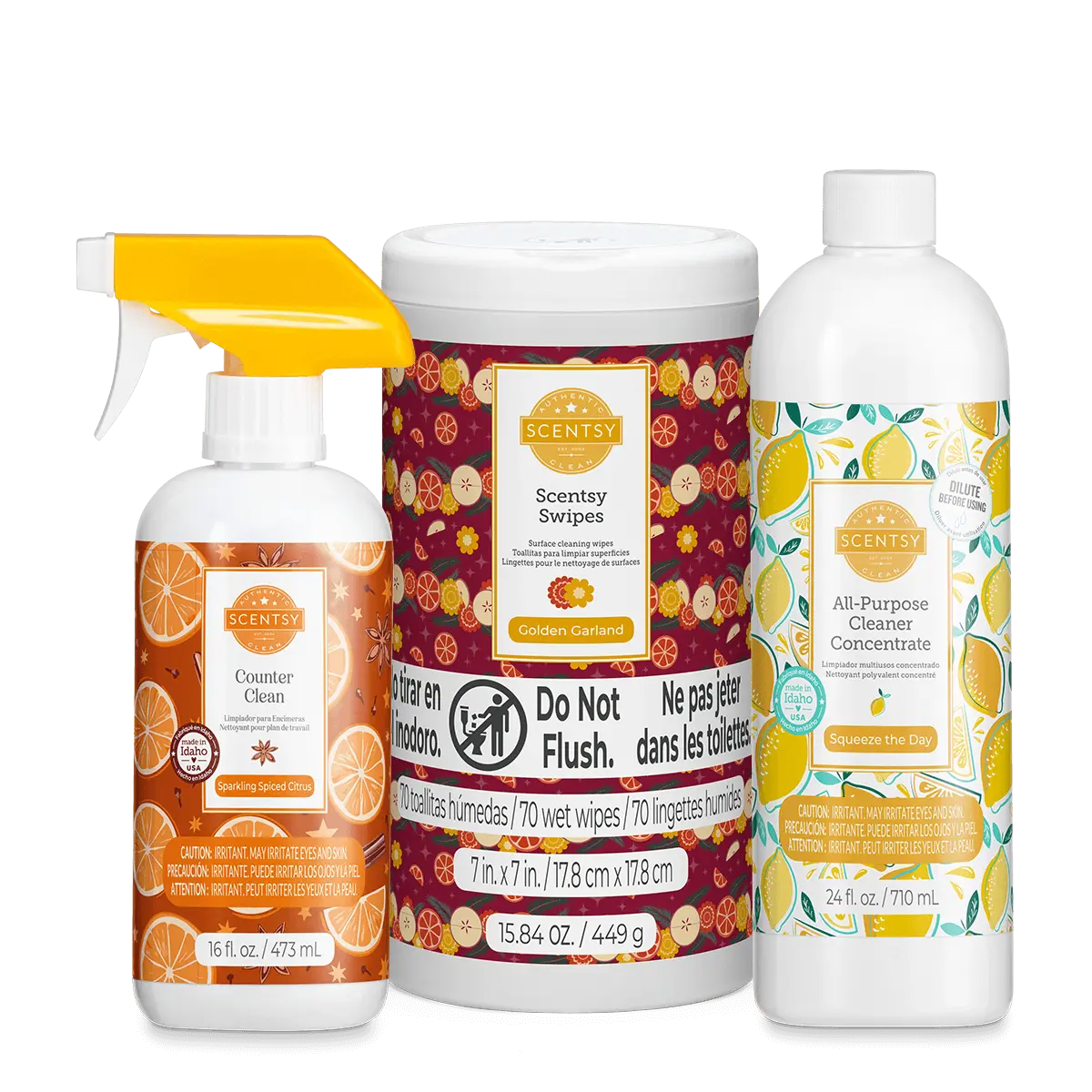 Clean House Holiday Prep Kit