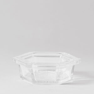 Clara replacement dish