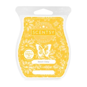 Beach Daisy Scentsy Bar