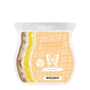 The Throwback Bar Trio