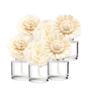 Last Chance 6-Fragrance Flower Bundle