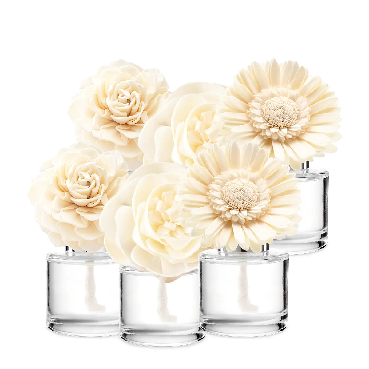 Last Chance 6-Fragrance Flower Bundle