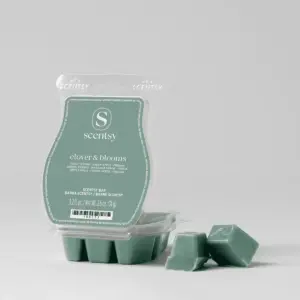 Clover & Blooms Scentsy Bar