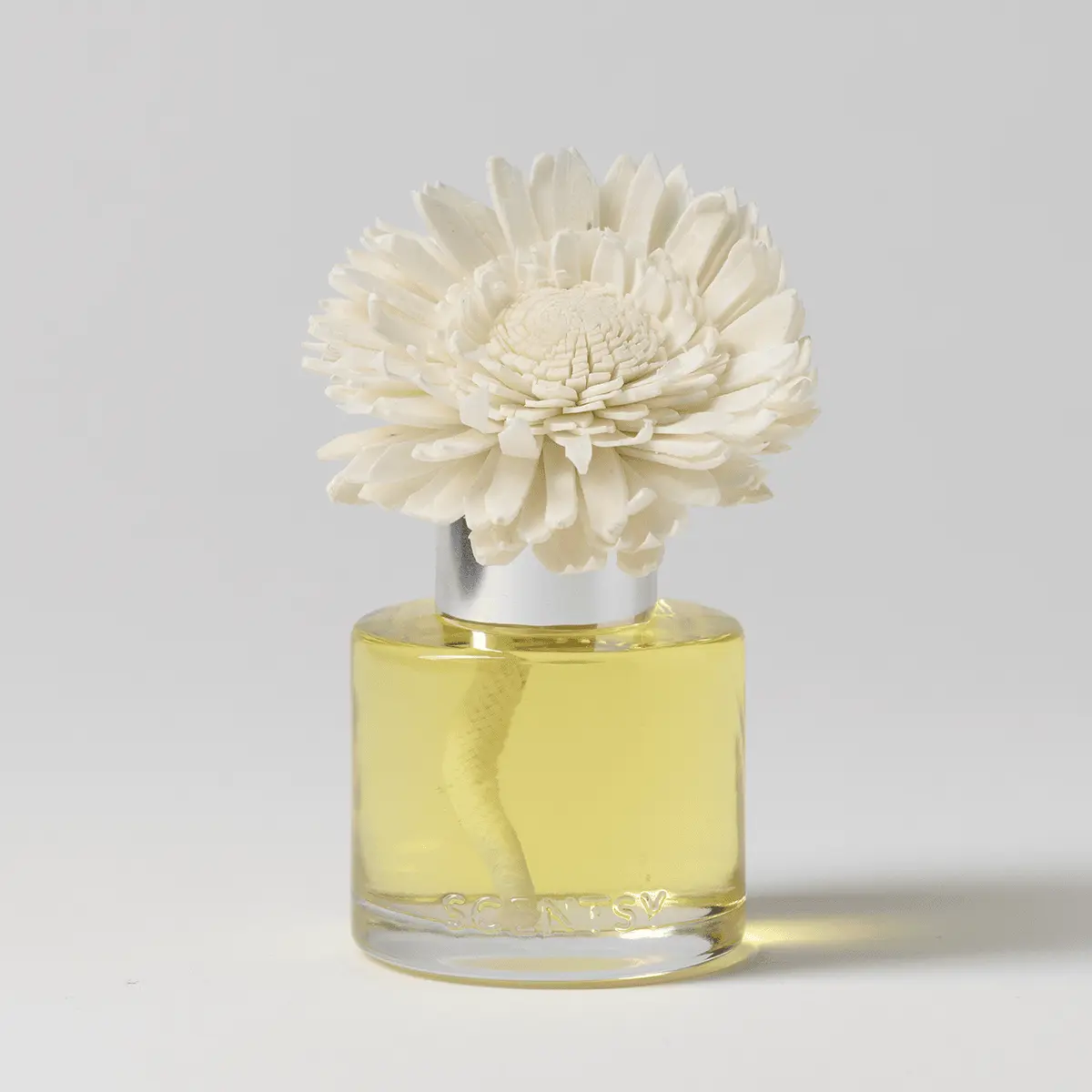 Wild Honeysuckle & Willow - Dainty Daisy Fragrance Flower - Image 2