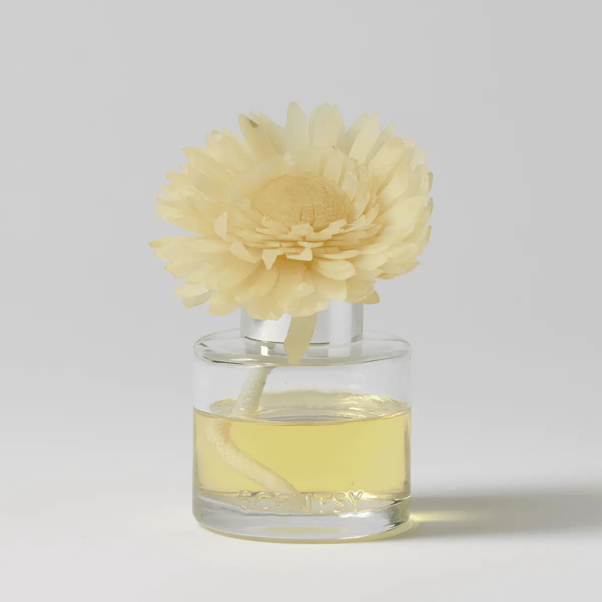 Wild Honeysuckle & Willow - Dainty Daisy Fragrance Flower