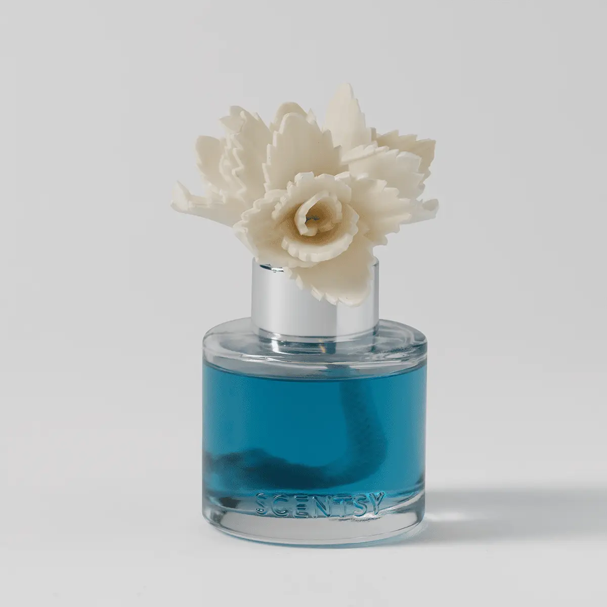 Serene Succulent – Elegant Echeveria Fragrance Flower - Image 2