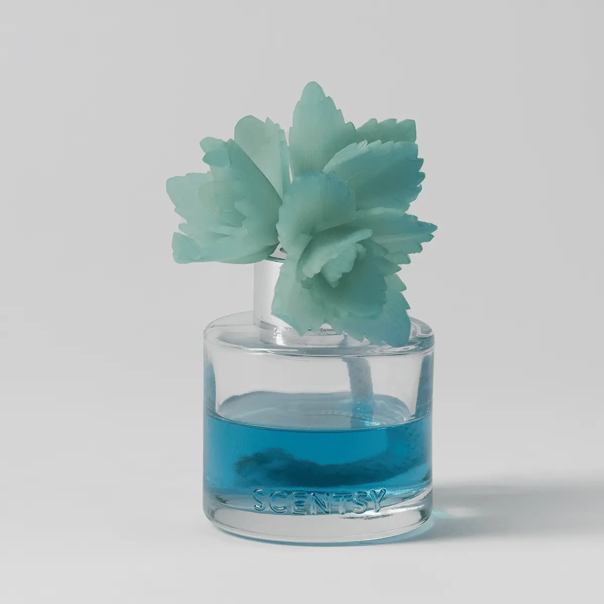 Serene Succulent – Elegant Echeveria Fragrance Flower