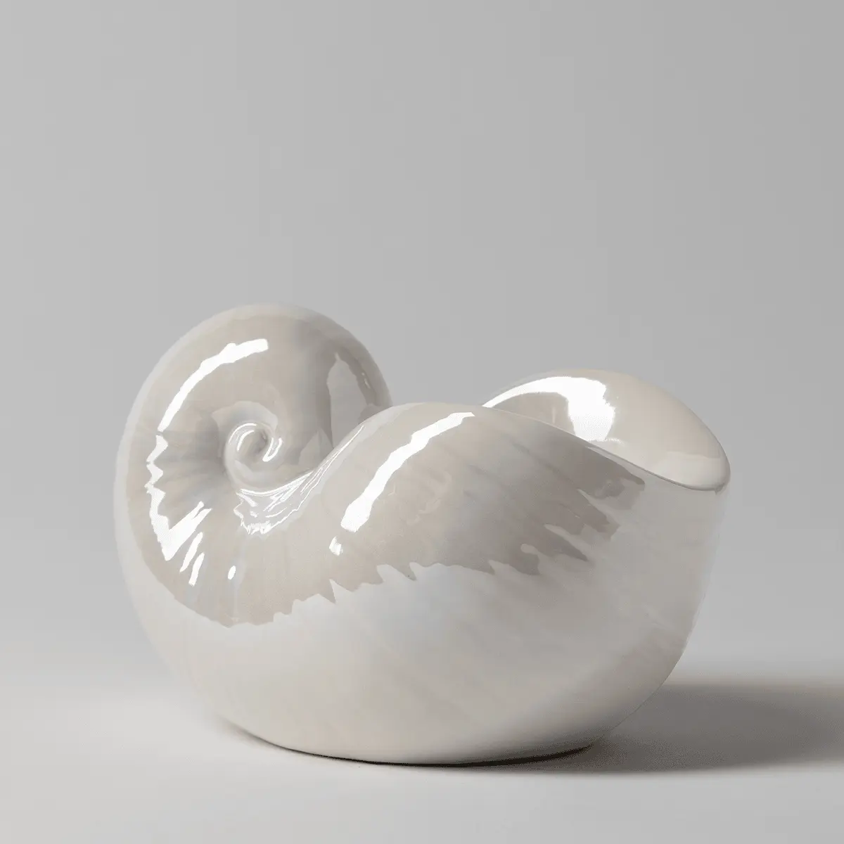 Nautilus Warmer - Image 3