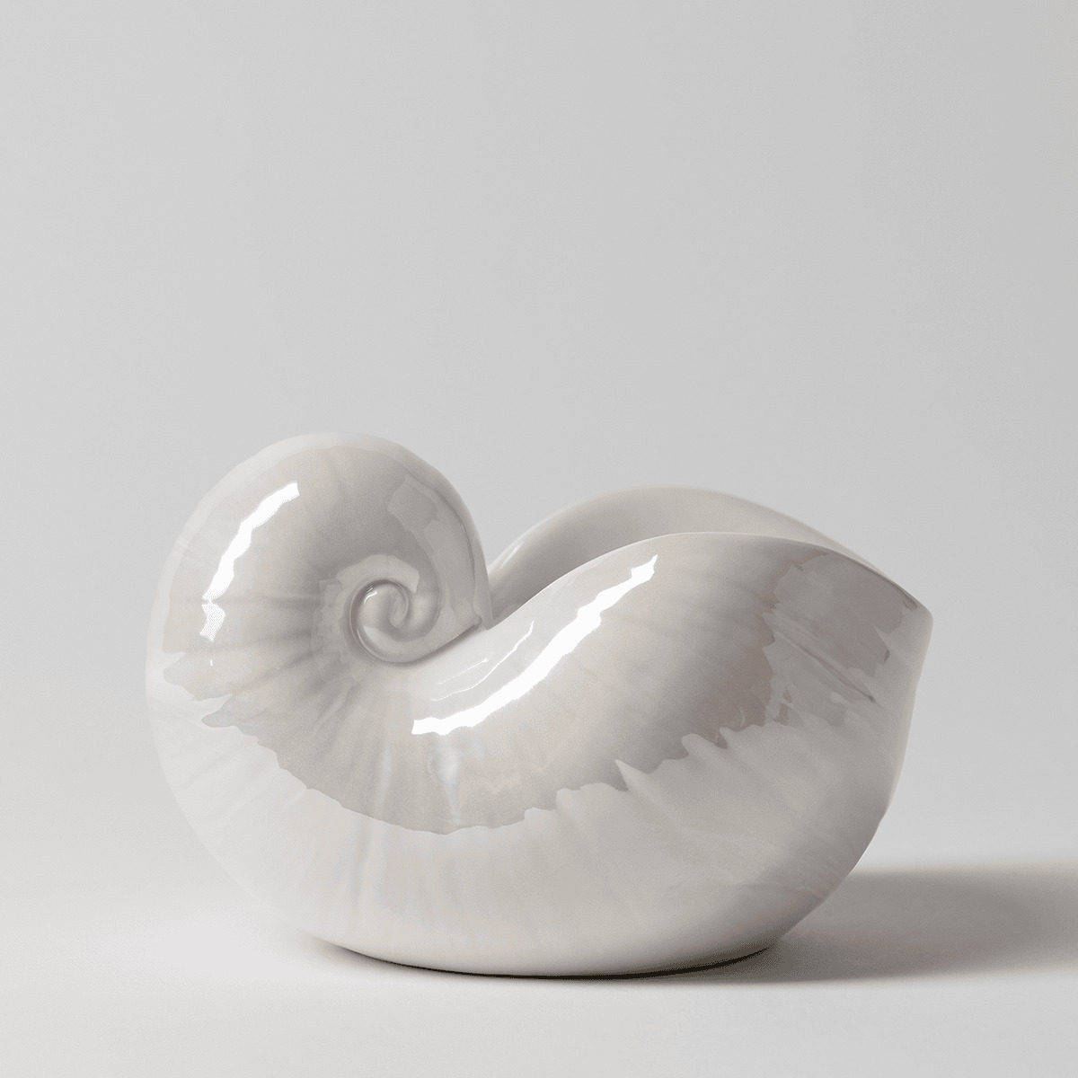 Nautilus Warmer - Image 4