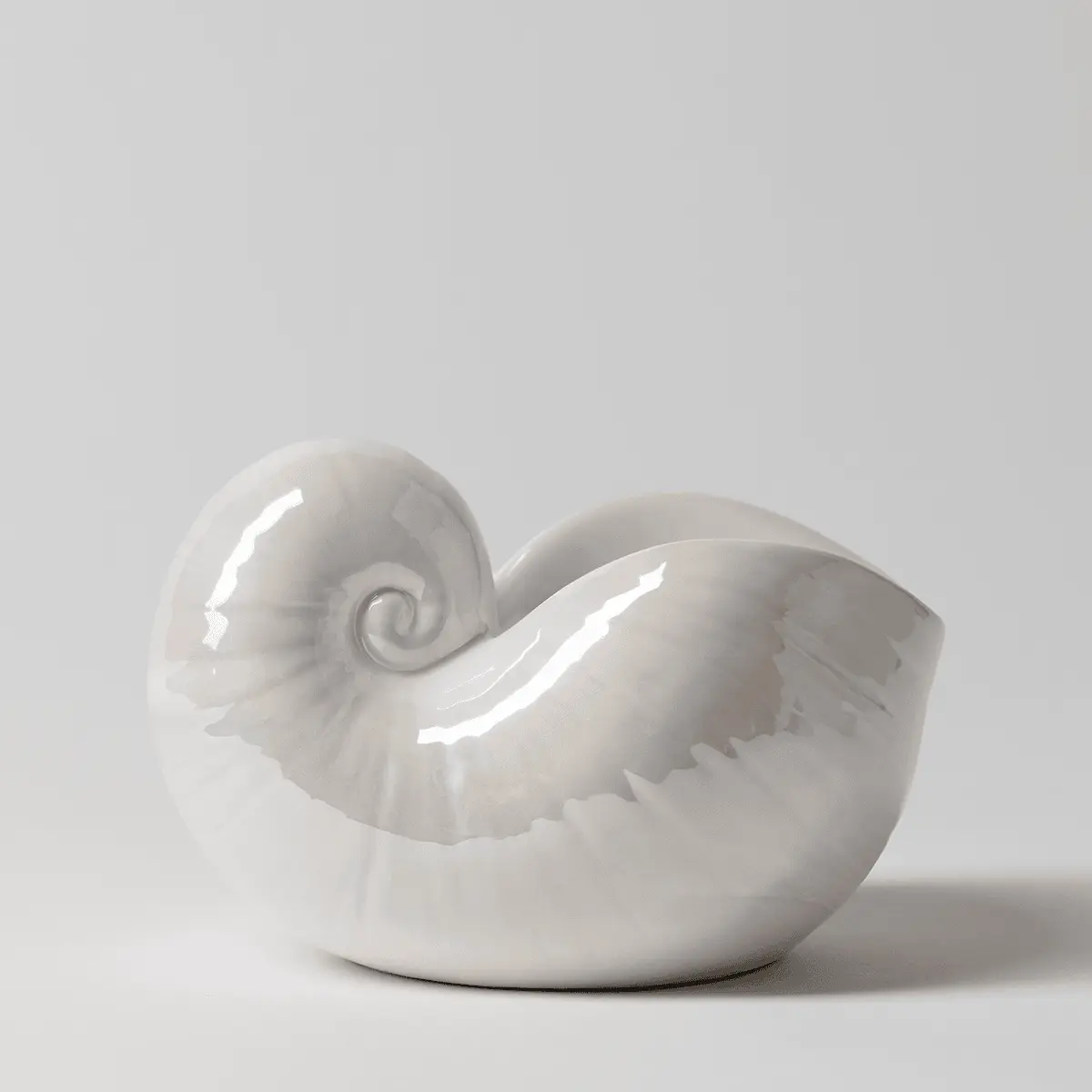 Nautilus Warmer