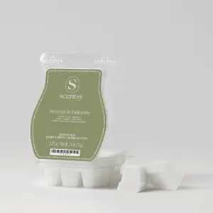 Breeze & Balsam Scentsy Bar