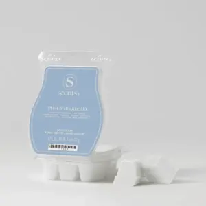 Mist & Magnolia Scentsy Bar