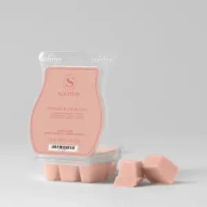 Petals & Peaches Scentsy Bar