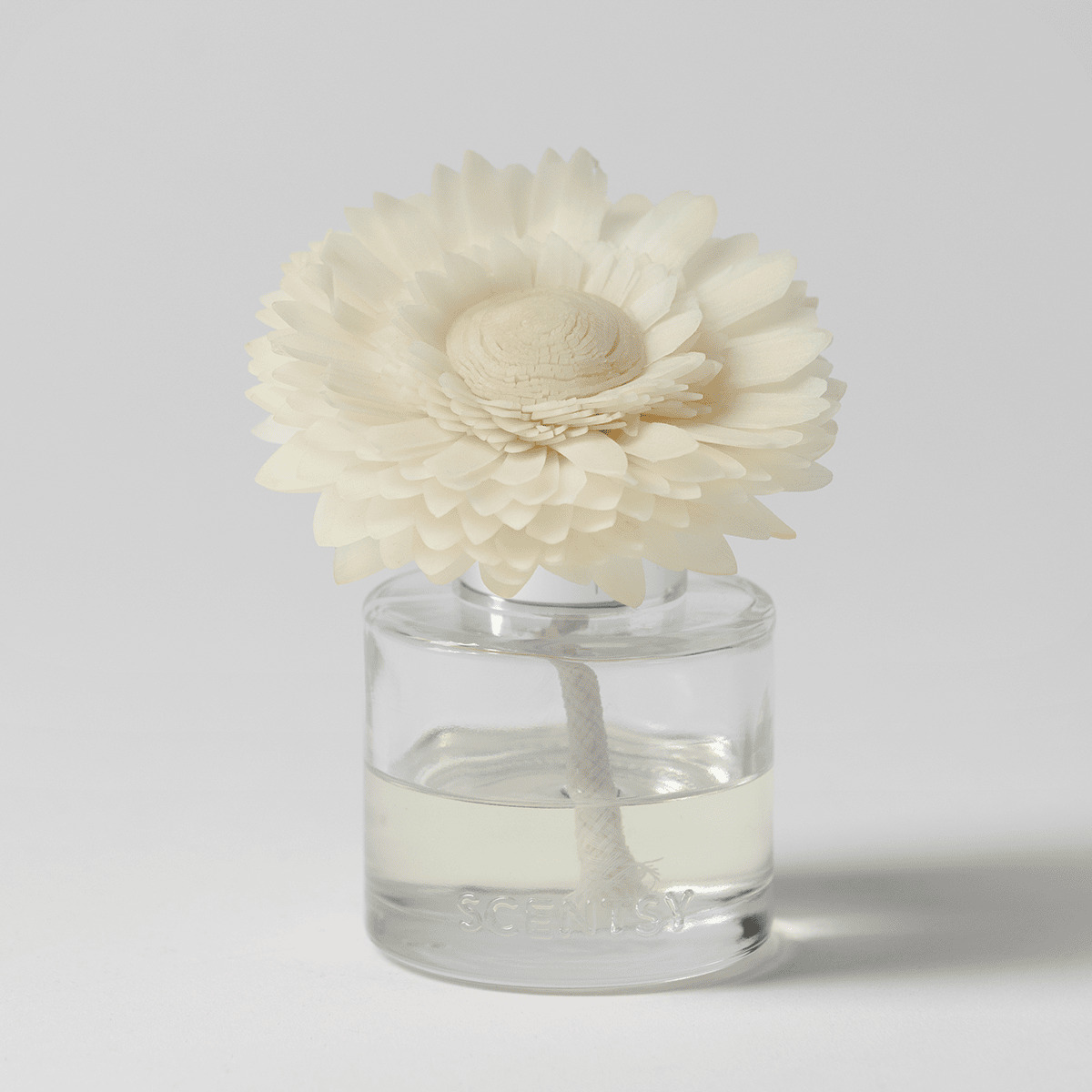Very Vanilla - Dainty Daisy Fragrance Flower