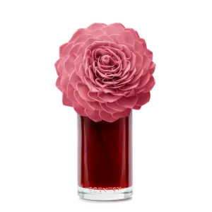 Vanilla Rose — Large Dahlia Darling Fragrance Flower