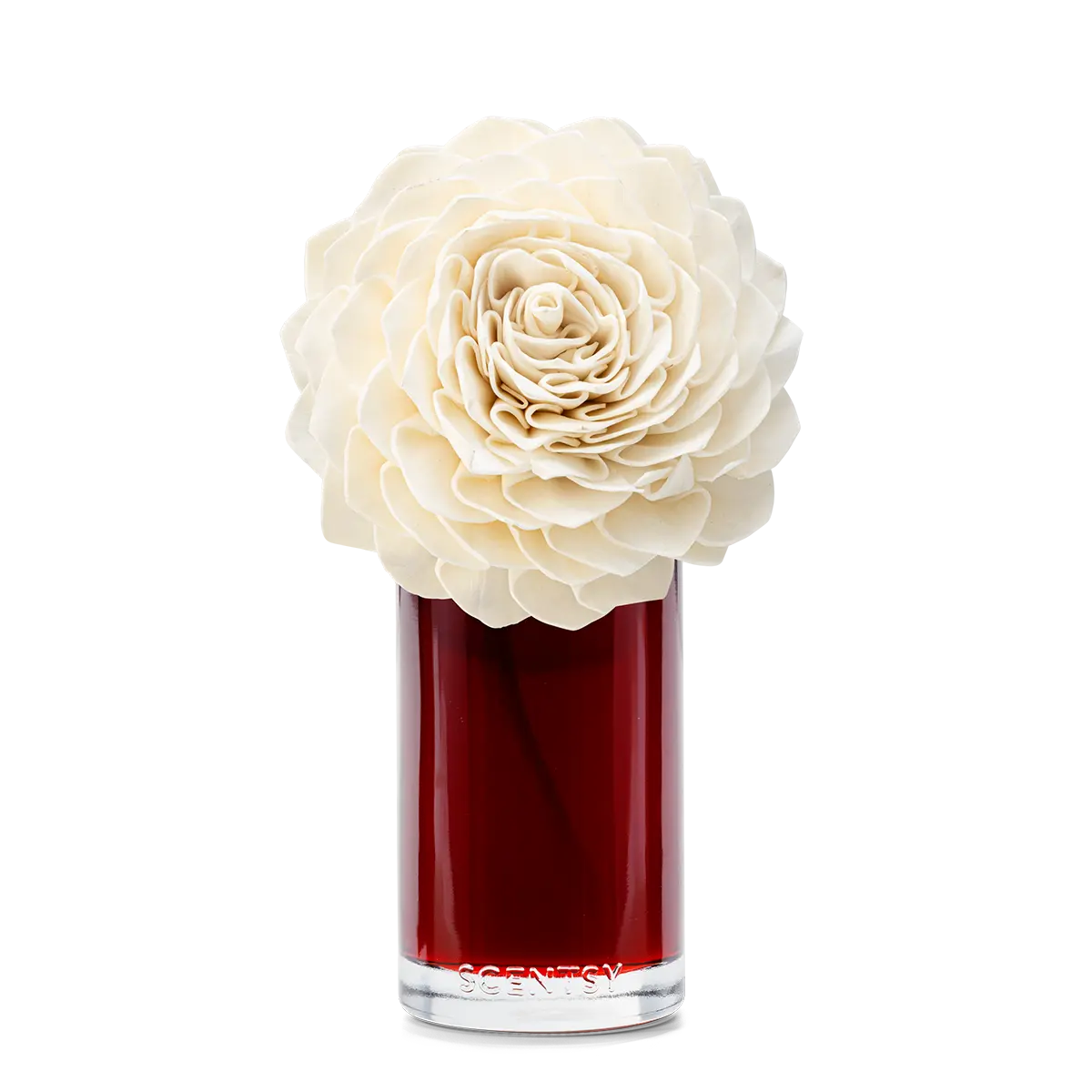Vanilla Rose — Large Dahlia Darling Fragrance Flower - Image 2