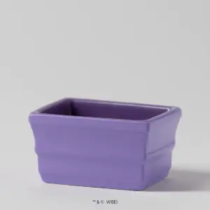 The One With the Yellow Frame – Scentsy replacement dish