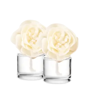Mystery Fragrance Flower 2-pack