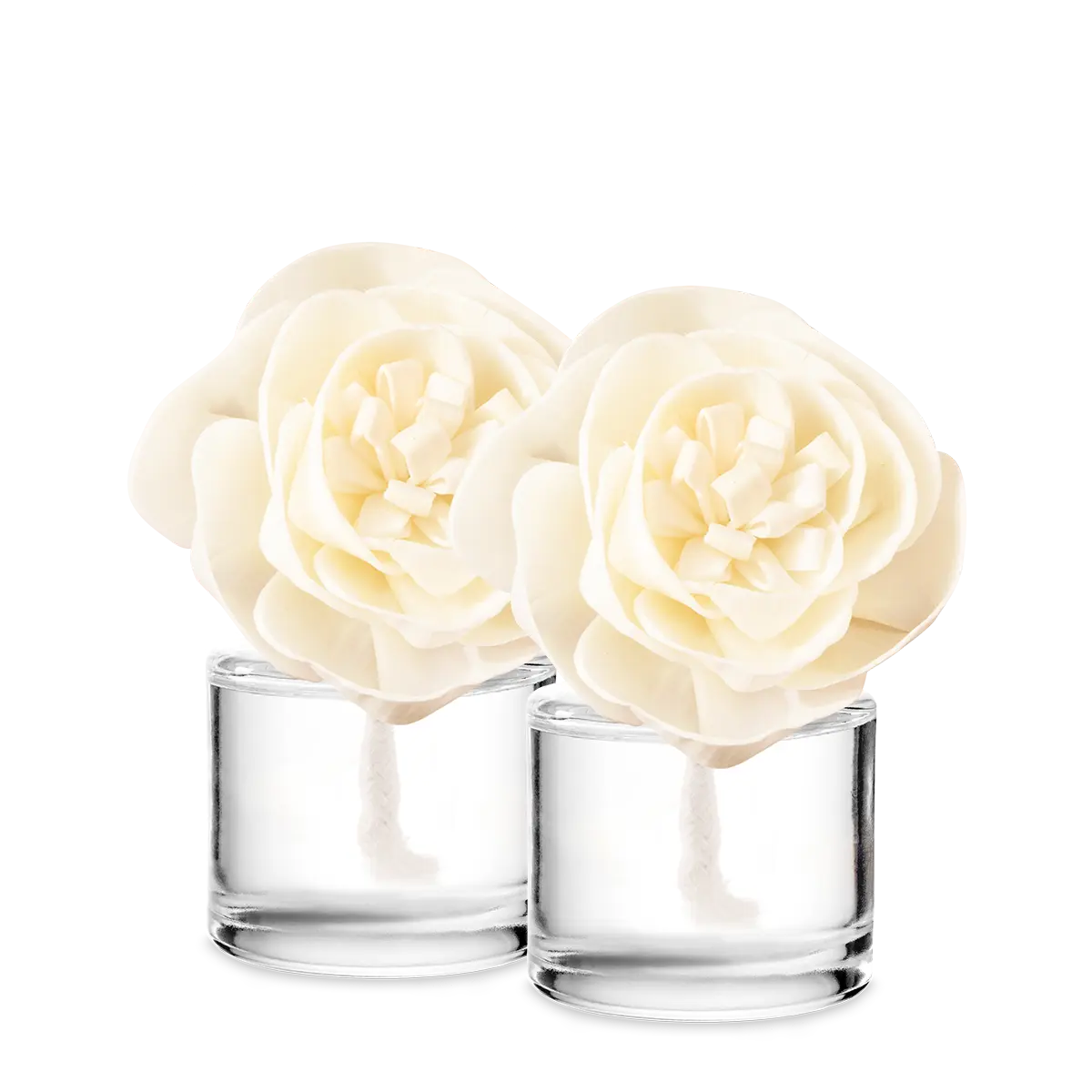 Mystery Fragrance Flower 2-pack